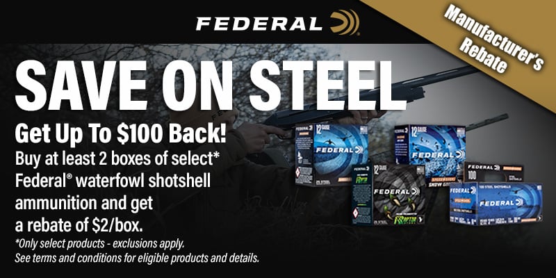 Rebate: Save on Steel